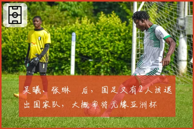 吴曦、张琳芃后,国足又有2人该退出国家队,大概率将无缘亚洲杯