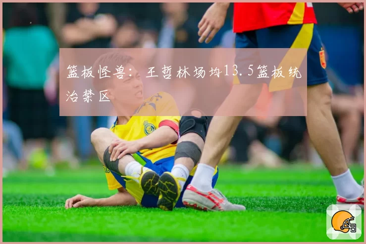 篮板怪兽：王哲林场均13.5篮板统治禁区